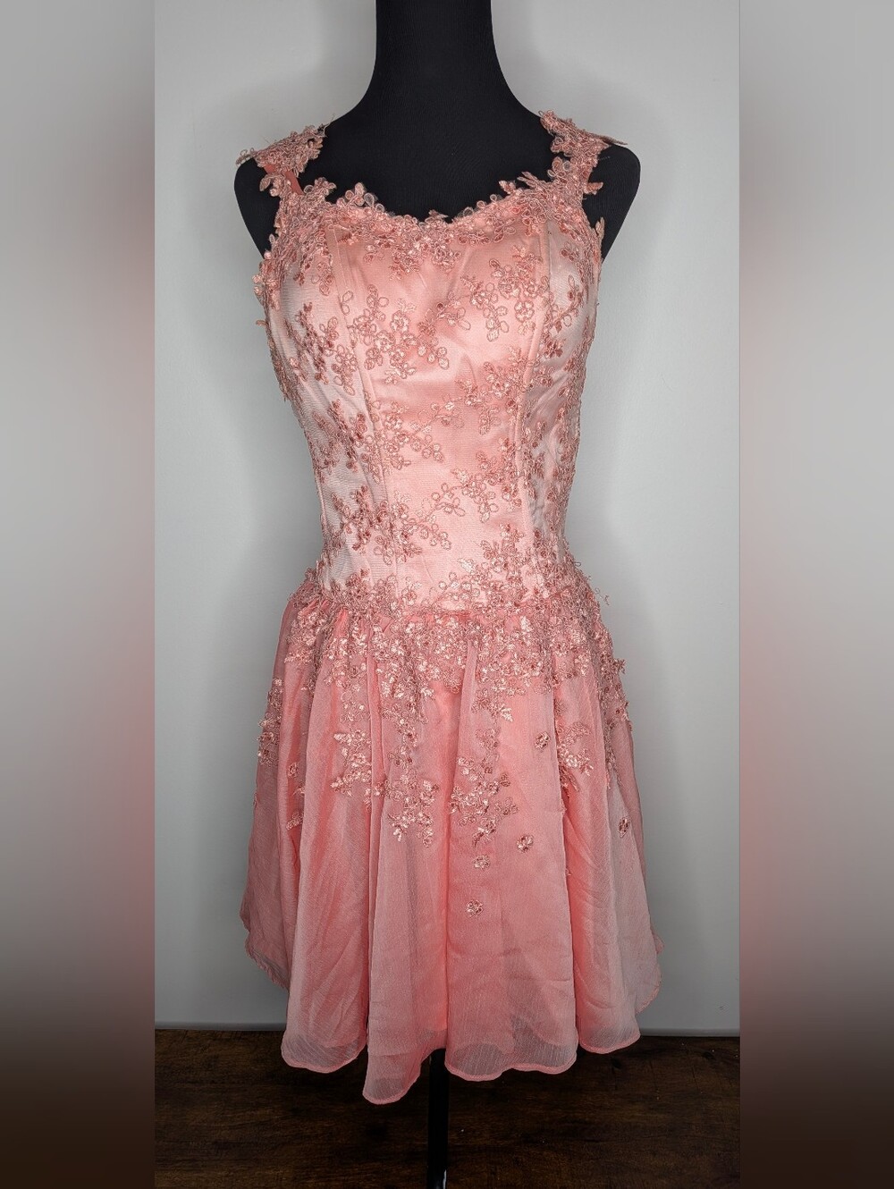 Pink Embroidered Tulle Party Dress Delicate Lace Applique Fitted Corset Bodice S